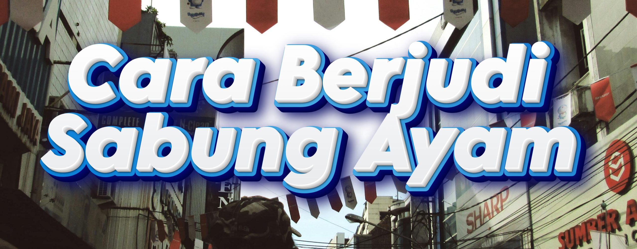 Cara Berjudi Sabung Ayam: Agen Resmi Sv388